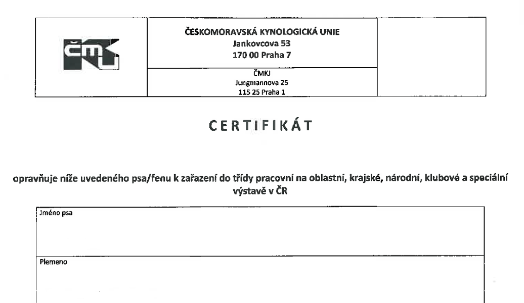 Certifikát zařazení do pracovní