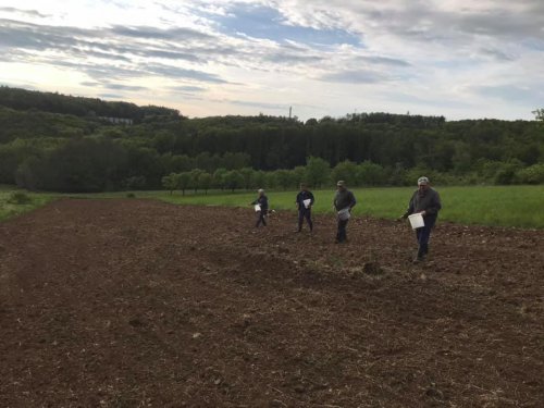 Osévání mysliveckého políčka – Bohuslavice-Březnice, okr. Zlín, MS Křiby