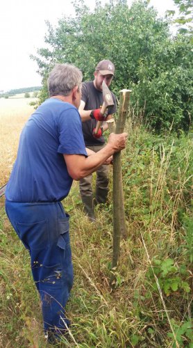 Výstavba zradidel plašících zvěř od silnice
