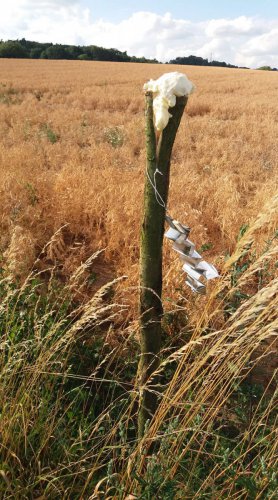 Výstavba zradidel plašících zvěř od silnice