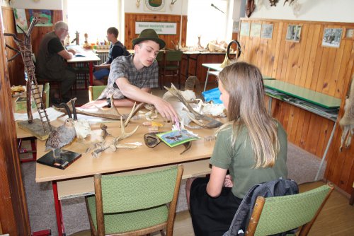 Zlatá srnčí trofej – Bruntál